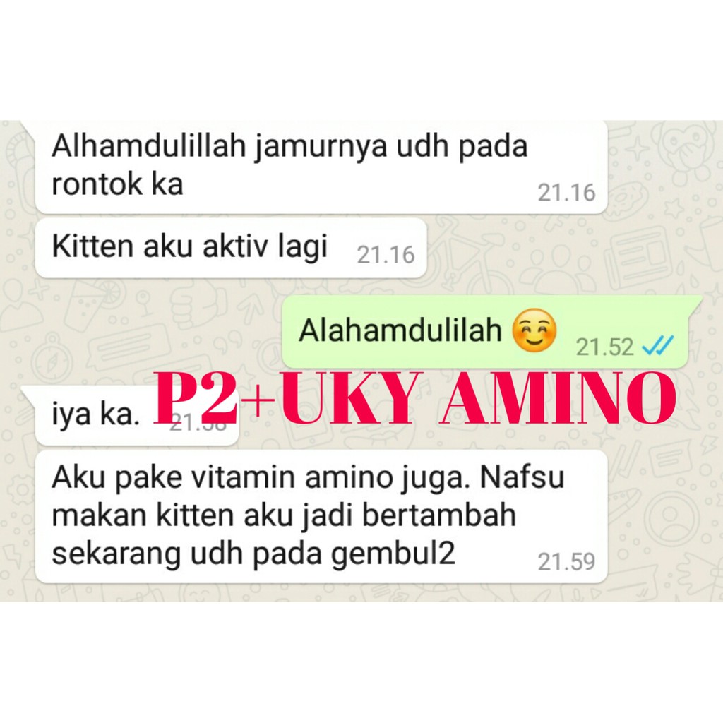 p2 paket vitamin obat jamur cacing kutu koreng scabies luka kulit kucing 30ml