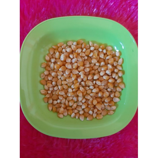 

jagung pop corn