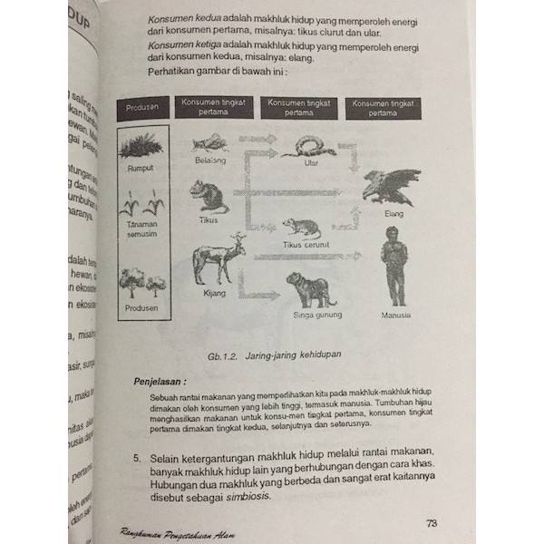 Buku Lengkap Rpal Sd Kelas 3 4 5 Dan 6 Rangkuman Pengetahuan Alam Lengkap Sekolah Dasar Buk Shopee Indonesia