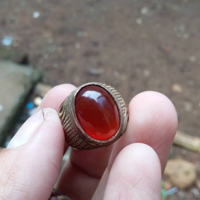 

Cempaka merah darah