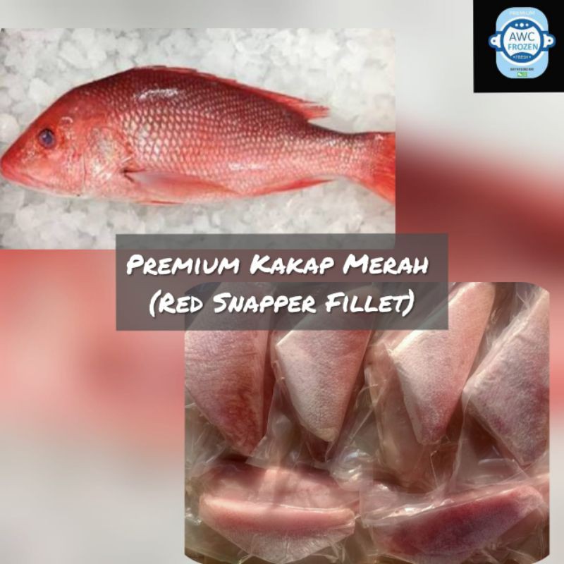 

Kakap Merah Fillet Export Quality