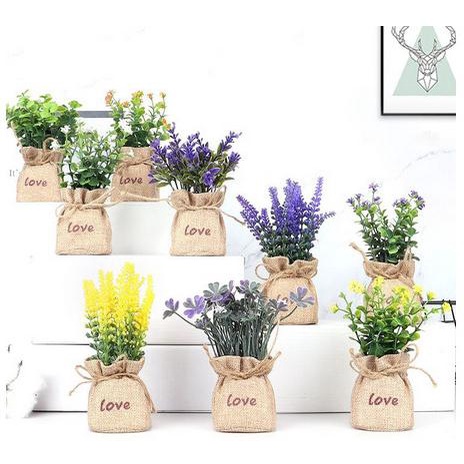 Bunga Pot Goni Pajangan Dekorasi Ruangan - Sunset