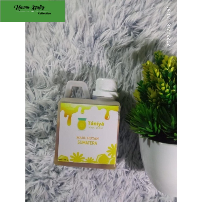 

Madu Hutan Sumatera 500 g Taniya Asli uji lab | Madu murni