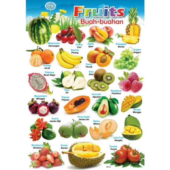 Jual Poster Edukasi Anak Lembaran - Poster Buah-buahan | Shopee Indonesia