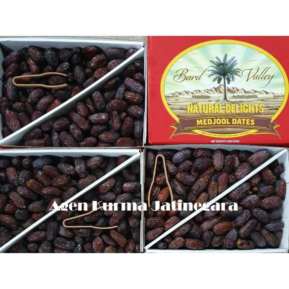 

GROSIR KURMA MEDJOL CALIFORNIA USA 5 KG JUMBO PREMIUM (BARD VALLEY) - TERMURAH - STOK TERBATAS