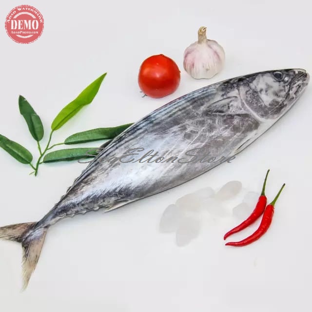 

Ikan Tongkol Segar 1Kg // Ikan Tongri Fresh Kualitas Garansi Segar