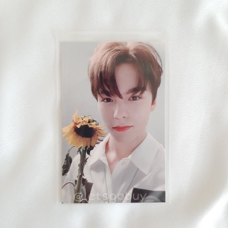 Gongbang broadcast sunflower Vernon Seventeen