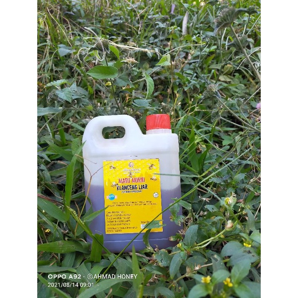 

madu klanceng murni 1kg madu murni klanceng liar Klanceng bambu klanceng liar kelulut trigona