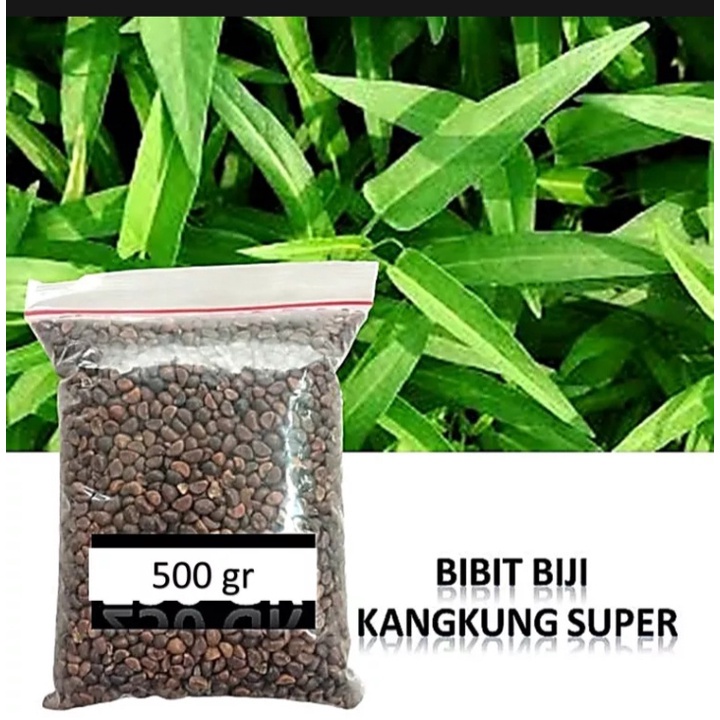 

Biji kangkung segar 500 gr