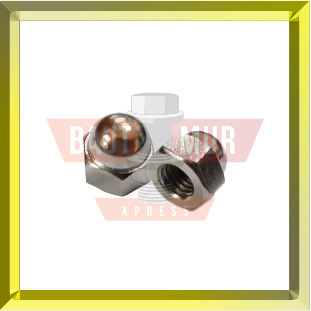 Mur Topi M6 Stainless Steel