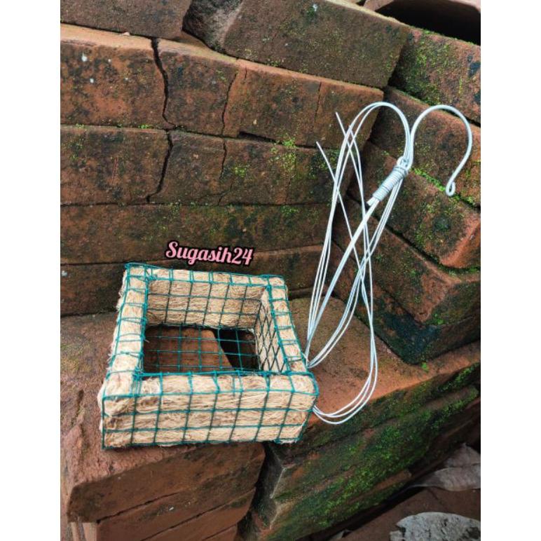 POT GANTUNG ANGGREK VANDA