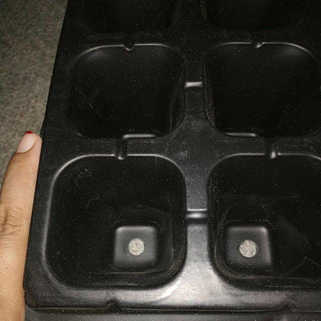 Tray Semai 32 Lubang