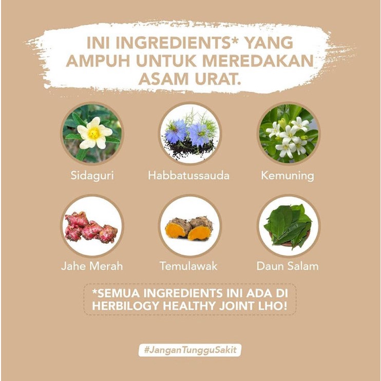 Herbilogy Healthy Joint - Asam Urat &amp; Nyeri Sendi 60 Kapsul