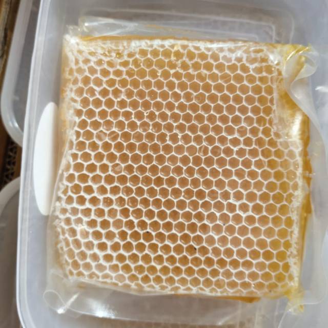 

Madu sarang melifera 250 gram original murah banget