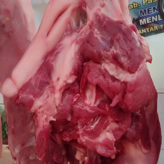 

DAGING BABI SEGAR