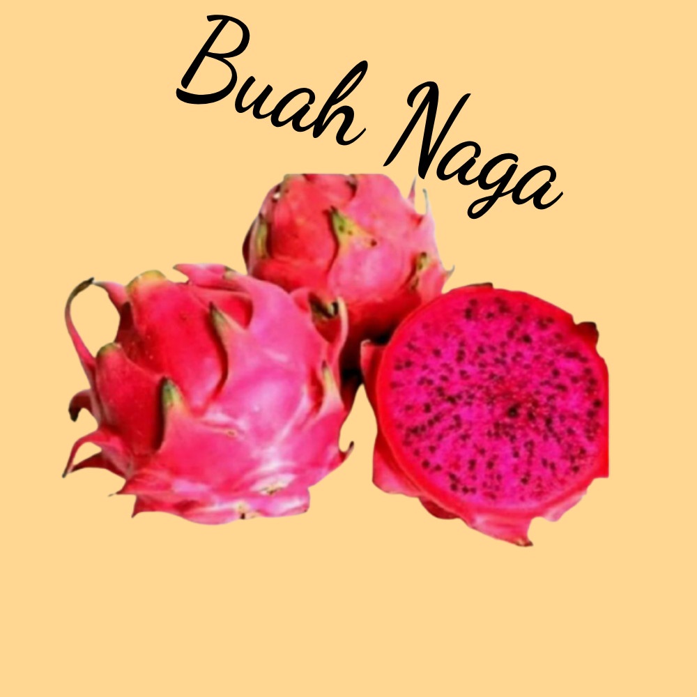 

Buah Naga 1 kg
