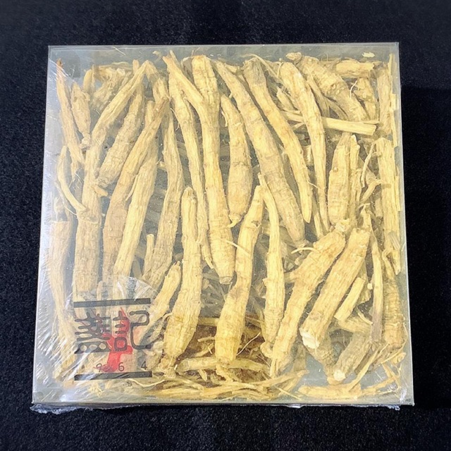 

Akar ginseng canada yong sem chiu premium import hongkong