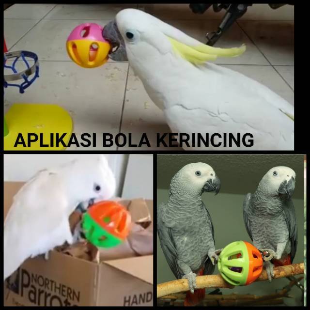 Mainan Bola Kerincing dengan Rantai Gantung