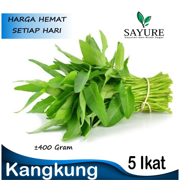 

KANGKUNG FRESH MURAH 5 IKAT