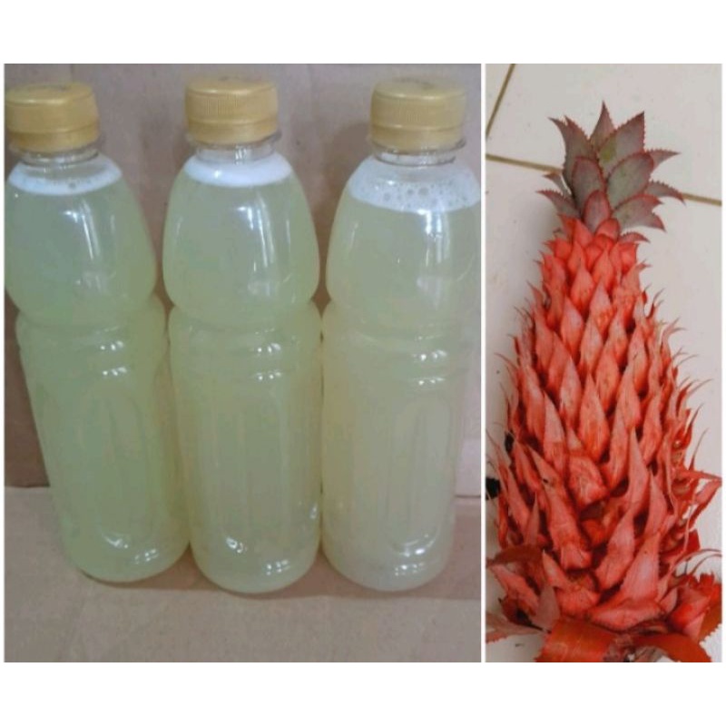 

jual jus nanas merah murni asli per botol 600 ml