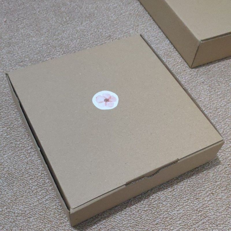 

Packaging Box Karton - Kardus Dus Pizza Cardboard Ecer - packing
