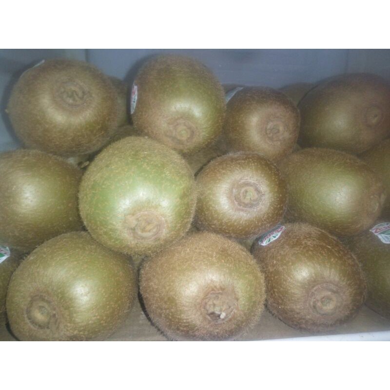 

1kg buah kiwi kuning segar