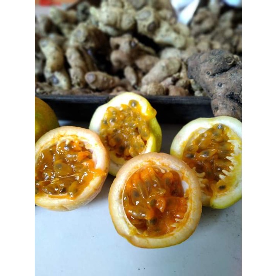 Bibit markisa madu (bukan konyal) markisa manis