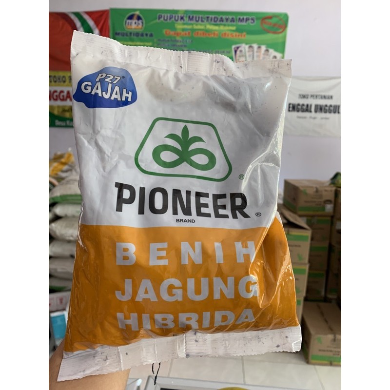 bibit Jagung P27 gajah 1kg