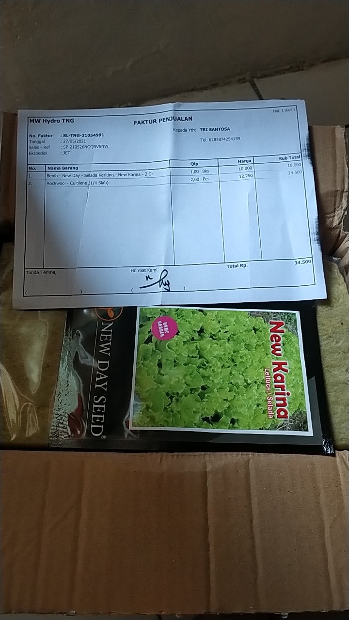 Benih New Day Seed Selada Karina