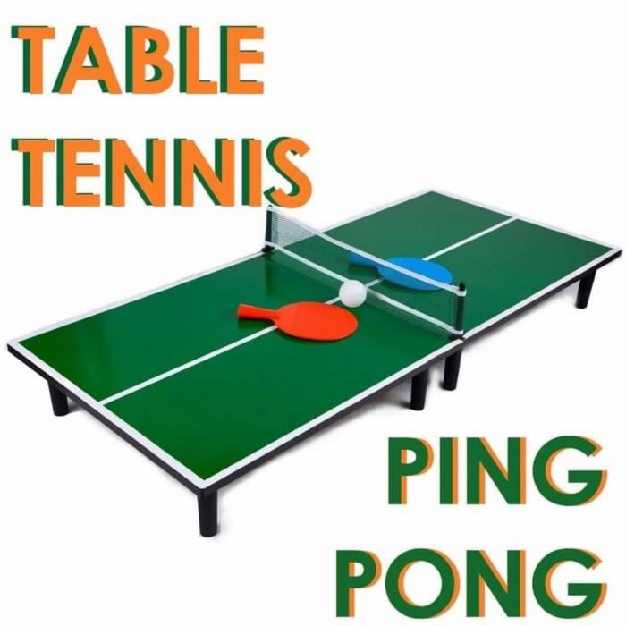 MAINAN PINGPONG MINI/TENIS MEJA MINI