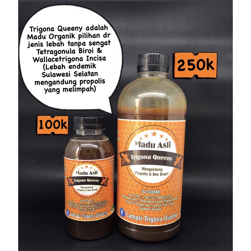 

Trigona Queeny Duo Hemat