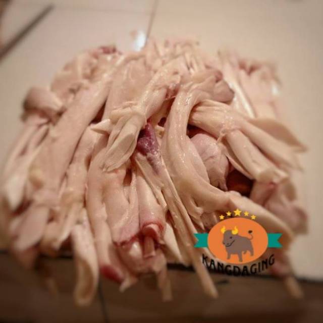 

Urat sengkel sapi super - urat tendon super
