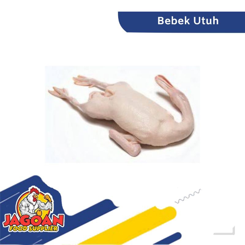 

BEBEK UTUH / DAGING SEGAR