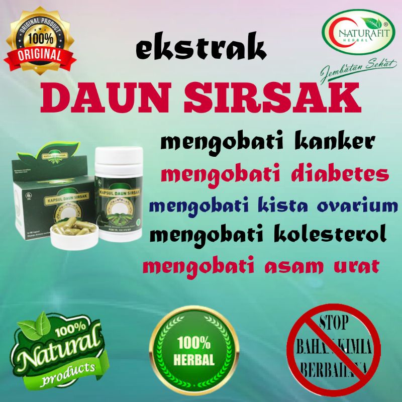 OBAT KANKER PALING AMPUH NATURAFIT EKTRAK DAUN SIRSAK 60 KAPSUL - obat kanker payudara/obat kanker s