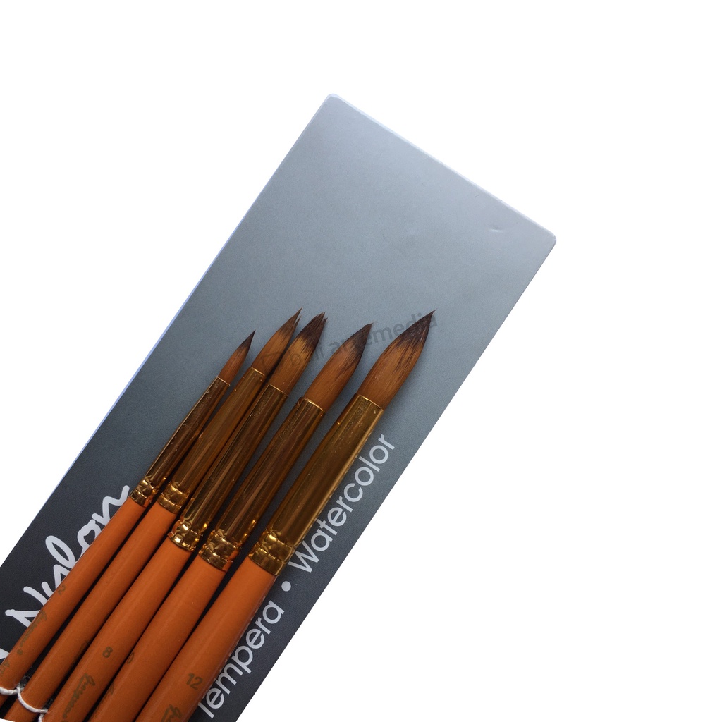 Giorgione Artist's Brushes Pennelli Round Set 5