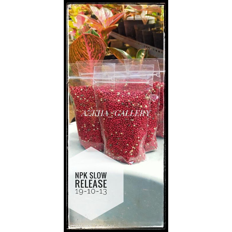 pupuk merah aglaonema aglonema npk slow release