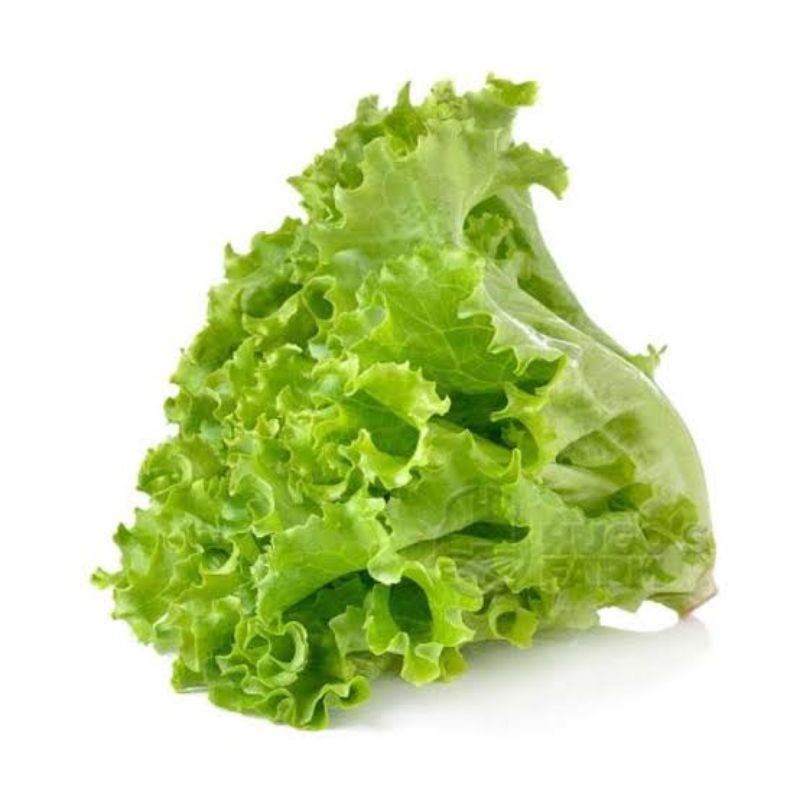 

selada kriting 250gram fresh