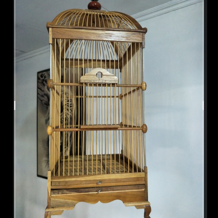 sangkar kenari kandang kenari sangkar burung kenari sangkar kenari kandang kenari sangkar burung kenari