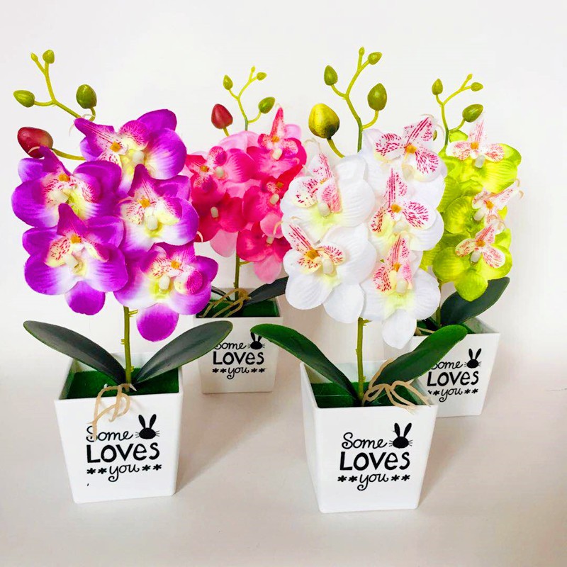 Cinta Lama/ Dekorasi Bunga Plastik Hiasan Rumah Tanaman Artificial Flower Import / PBP 08 / PBP 10-3