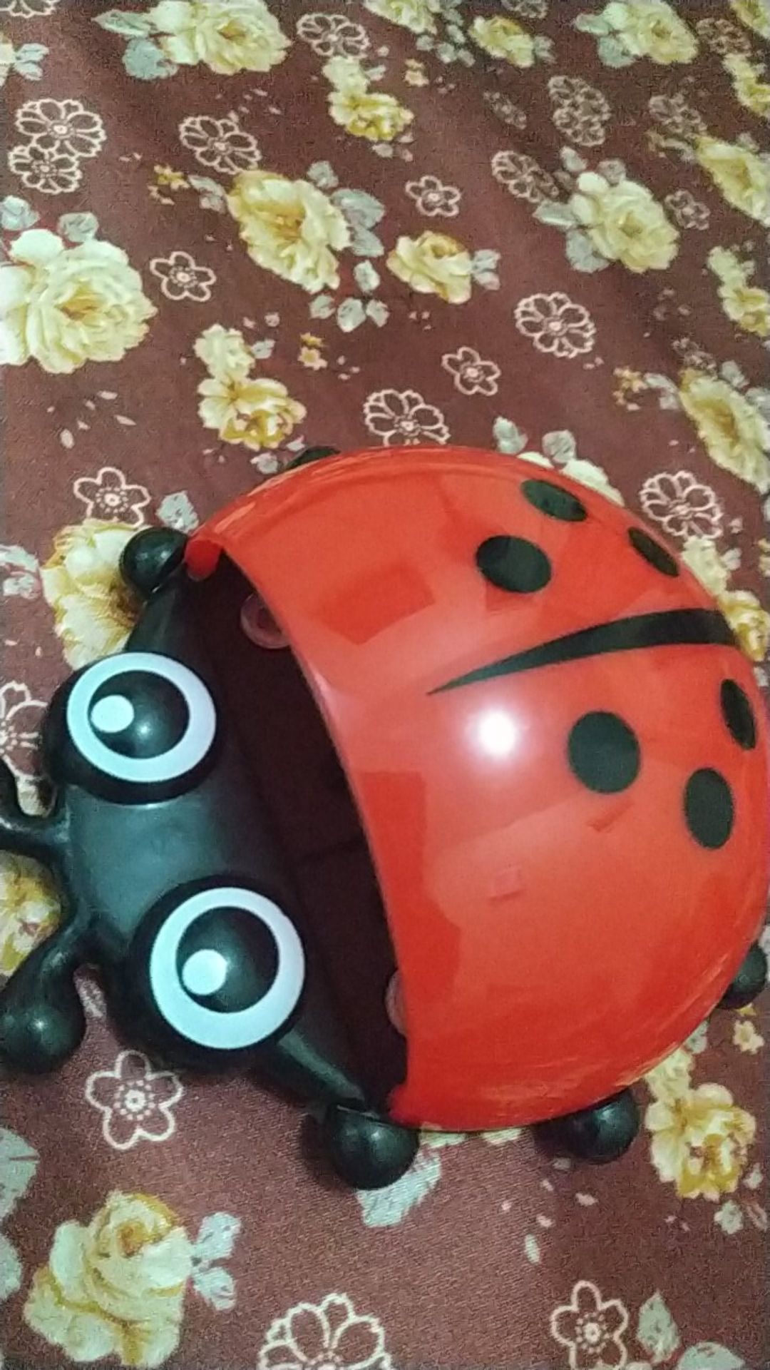 Tempat Odol Dan Sikat Gigi Tempel Ladybug