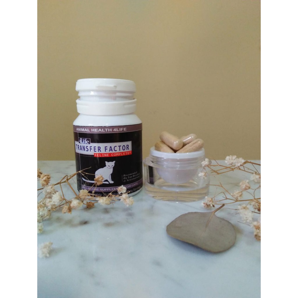 TF FELINE Repack Eceran