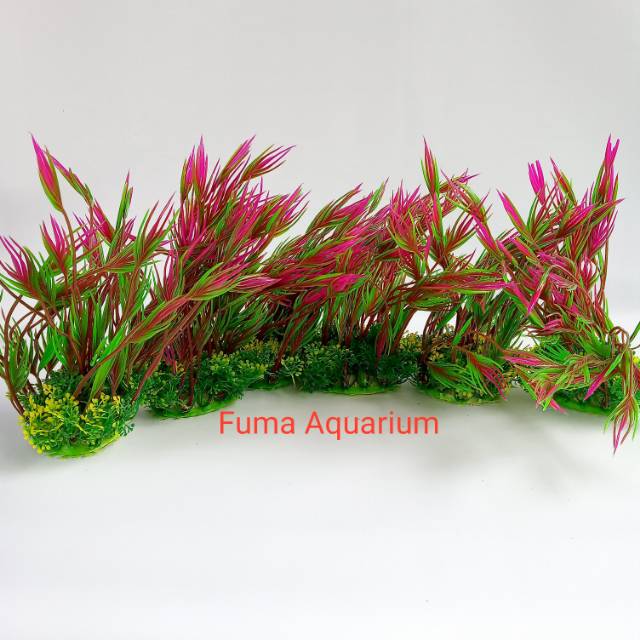 Tanaman Plastik Import hiasan dekorasi Aquarium Aquascape M 859 Tinggi 23cm Harga per 1 pcs