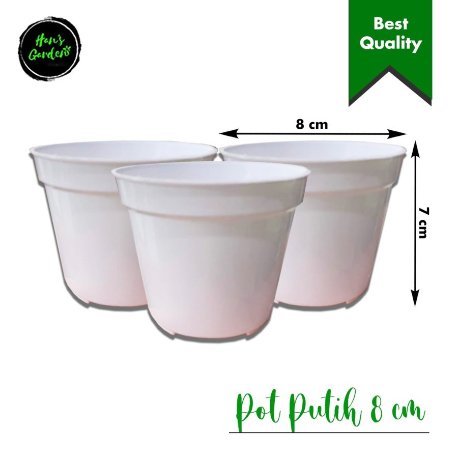 Pot putih 8 cm pot mini pot kaktus