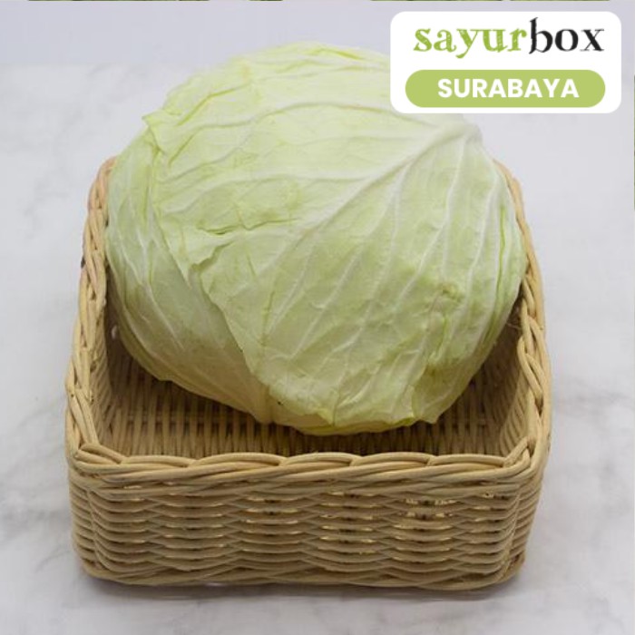 

Kol Putih Conventional 1 kg (Sayurbox) - SURABAYA