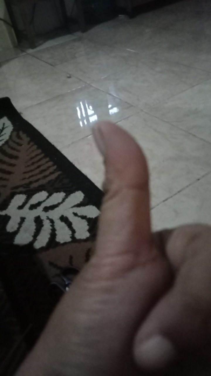 (6pcs) Kotak Donat Kmp / Mutiara Pack 2000mil / Box Serbaguna / Wadah