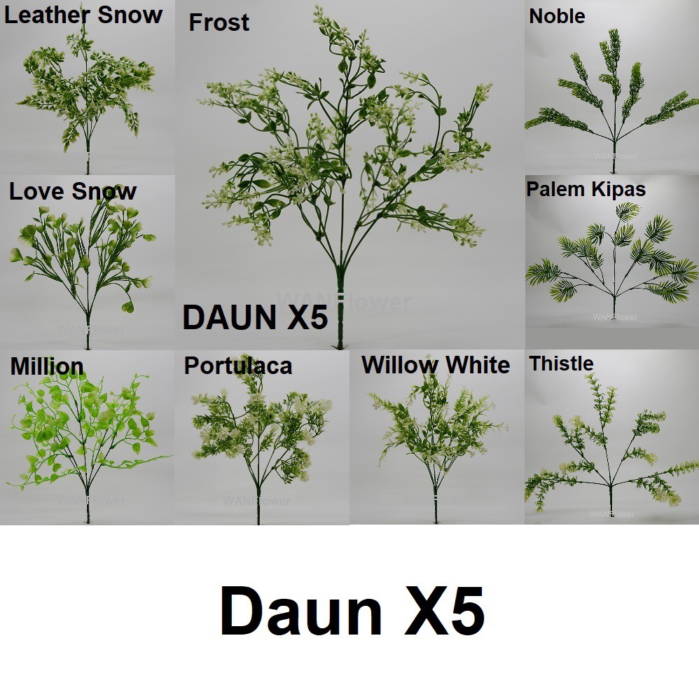 WANFLOWER Daun X5 * NOBLE