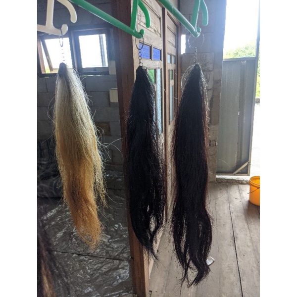 gantungan kunci ekor sapi kambing asli