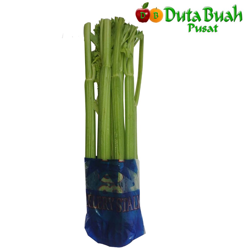 

DUTA BUAH PUSAT Seledri Impor(0.9-1kg)