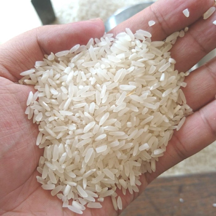 

978qW Beras Pulen Cap Kepala Singa 10Kg W5Q0112