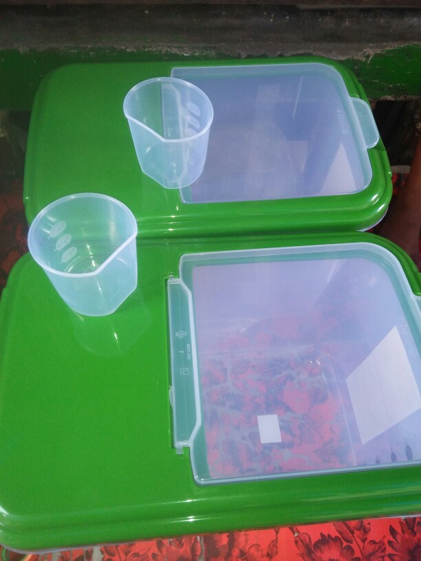 Rice Box 12,5 Kg Lion Star Tempat Beras Rb-17 Oriza